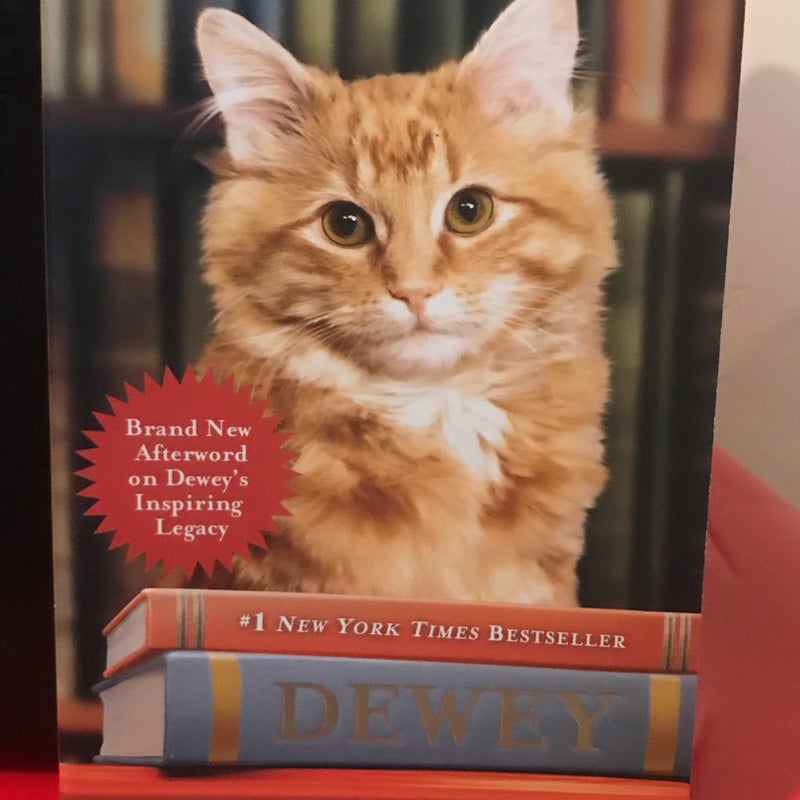 Dewey the Library Cat: a True Story