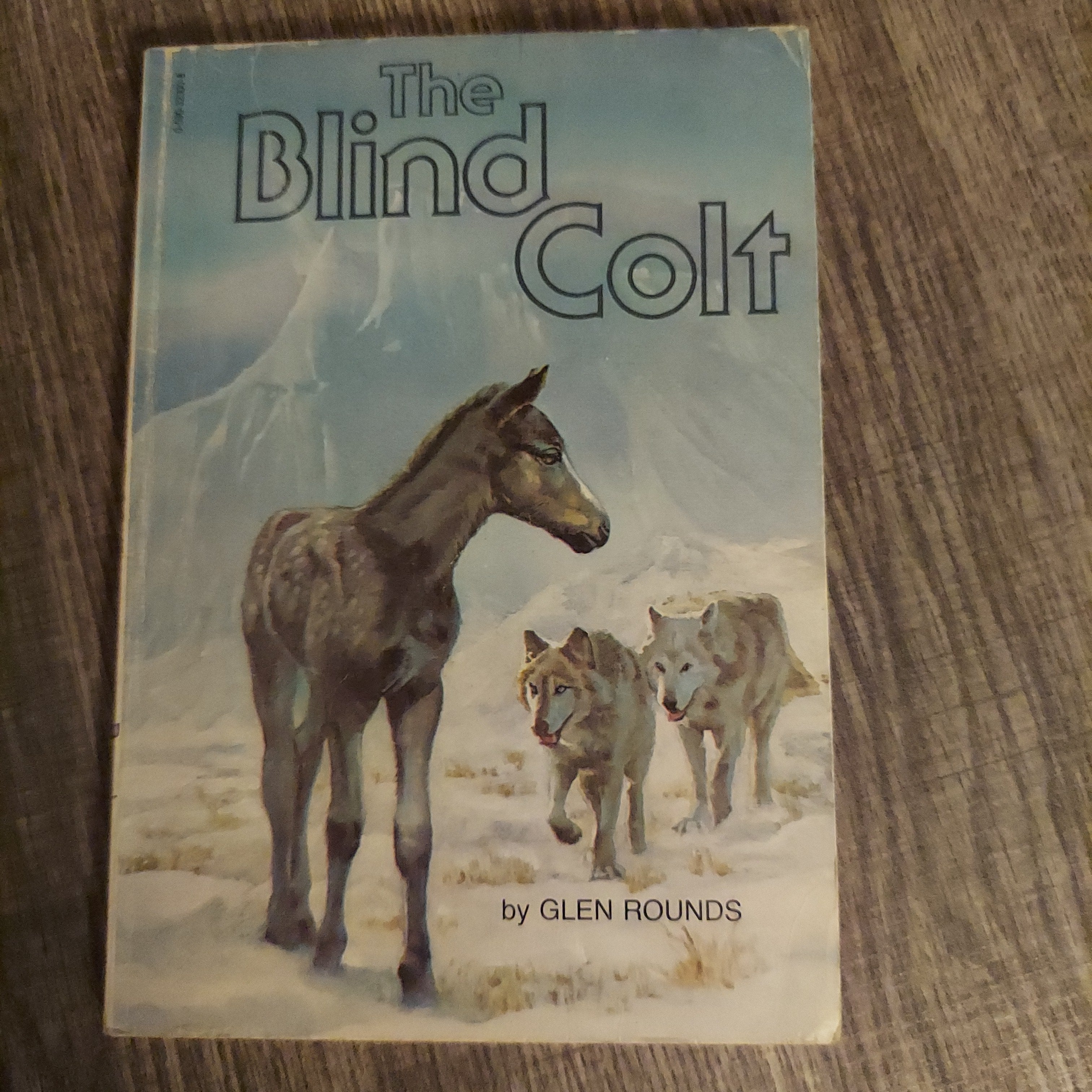 The Blind Colt