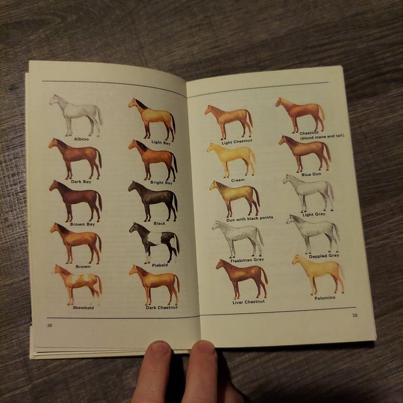 Guide to the Horses of the World 