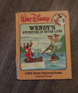 Wendy's Adventure in Never Land