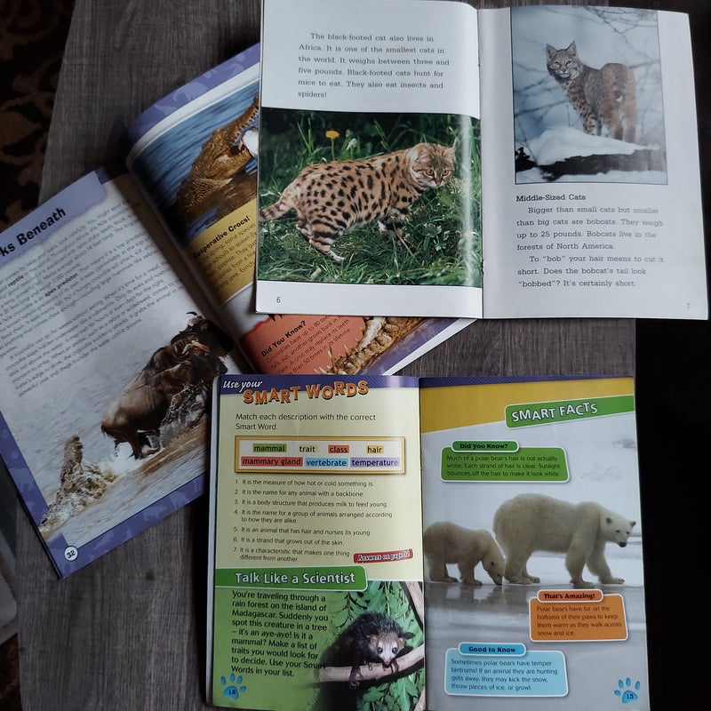 Assorted animal books for kids 