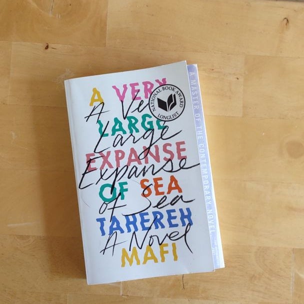 A Very Large Expanse of Sea