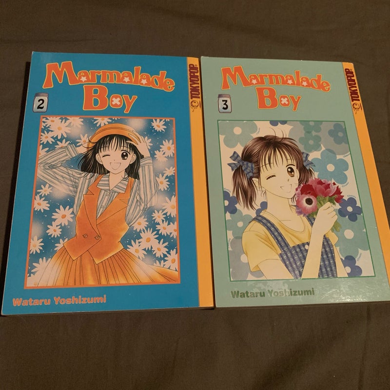 Marmalade Boy Vol. 2 and Vol. 3
