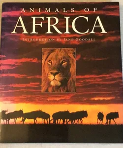 Animals Of Africa 
