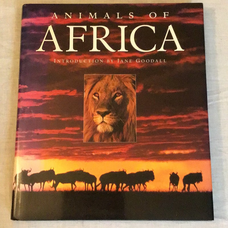 Animals Of Africa 