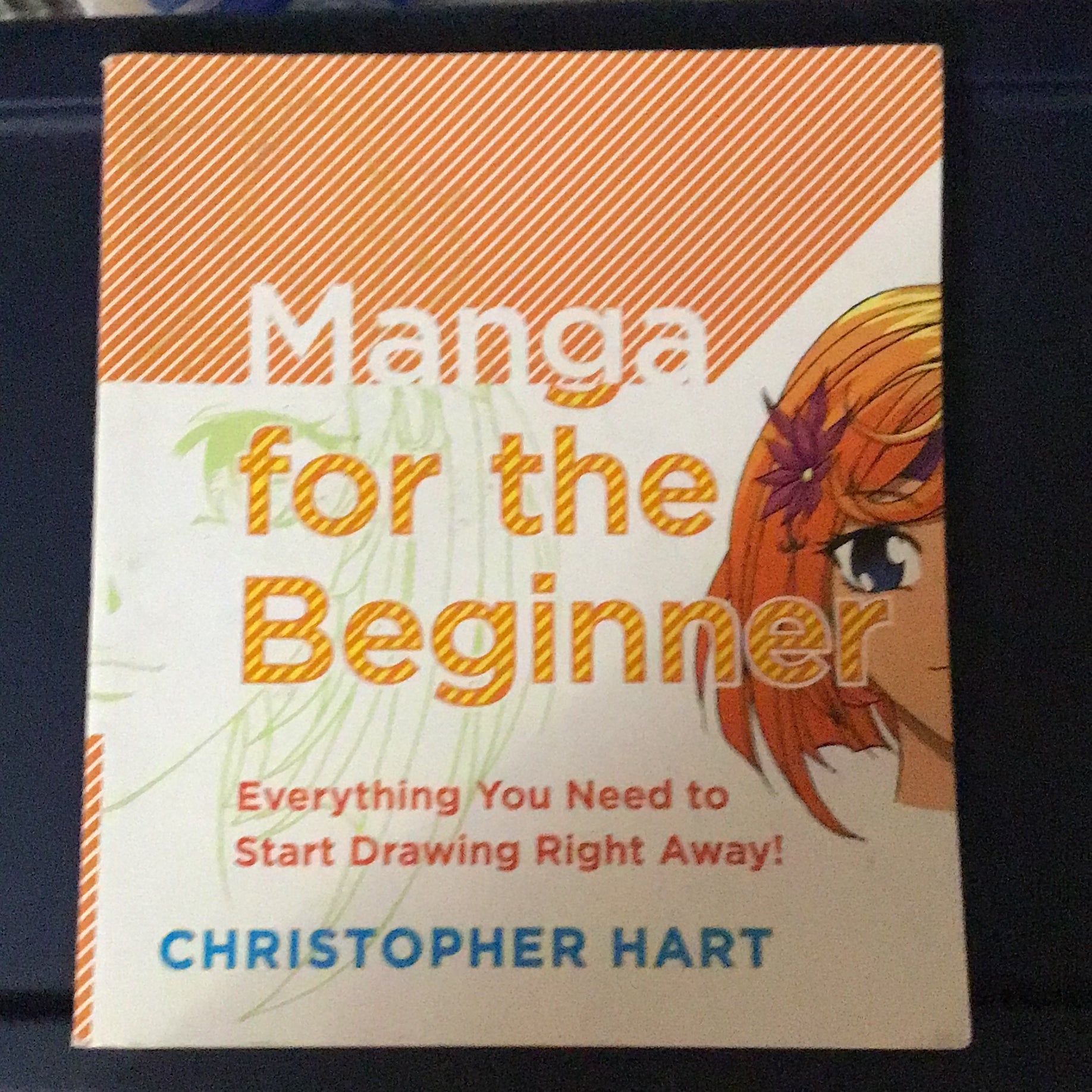 Manga for the Beginner