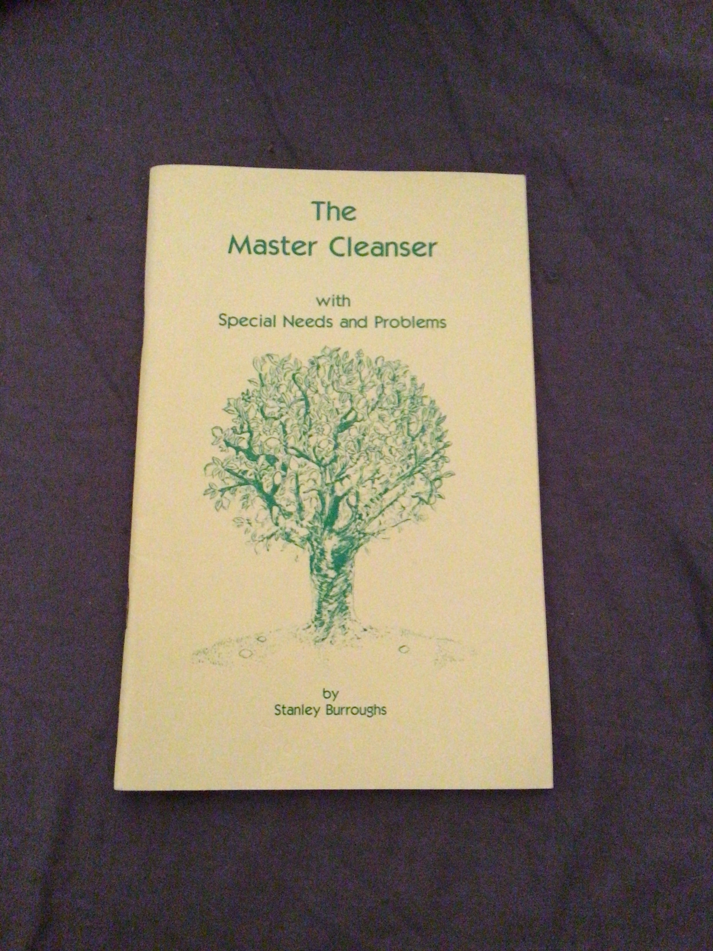 The Master Cleanser