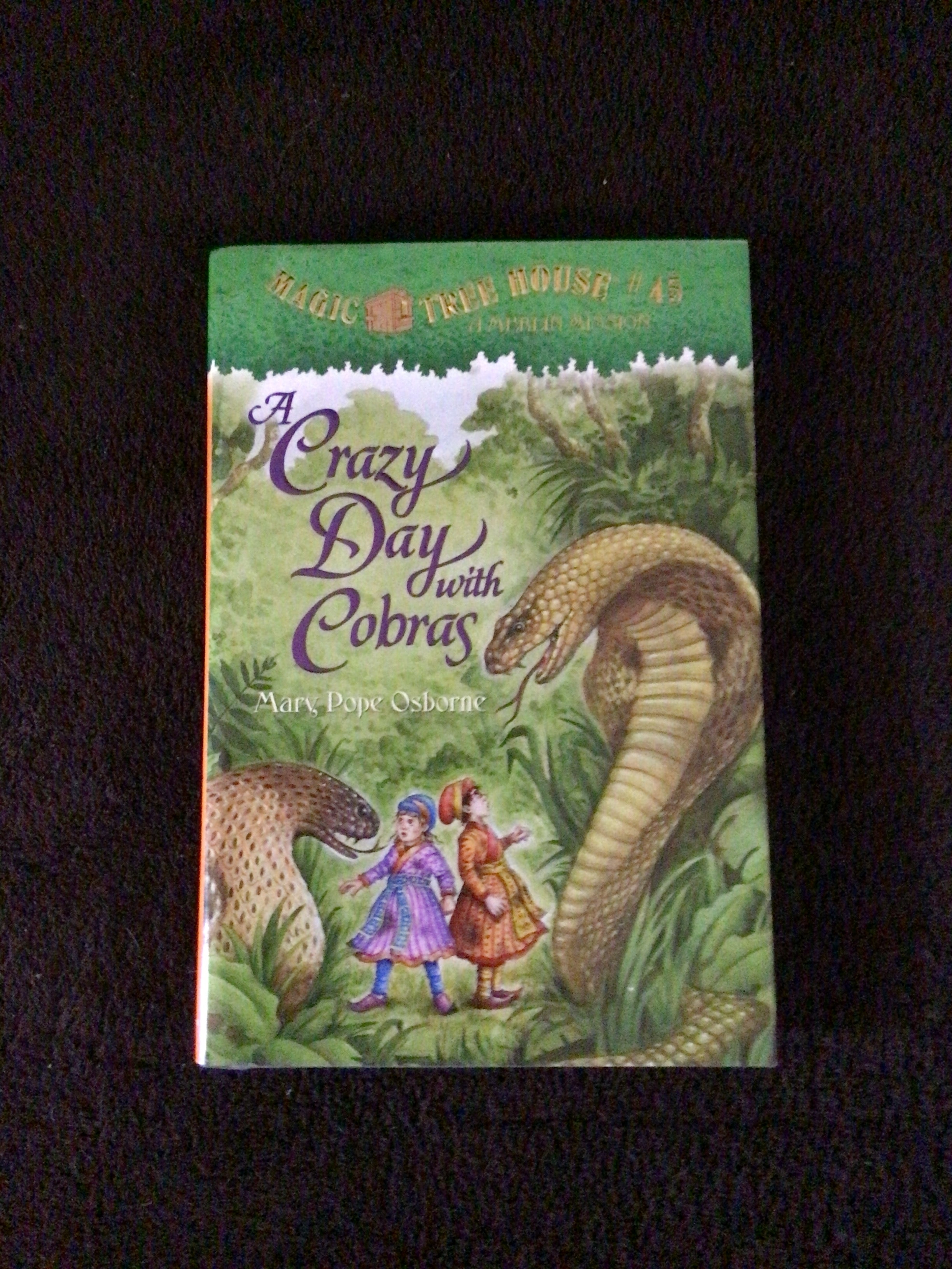 A Crazy Day with Cobras