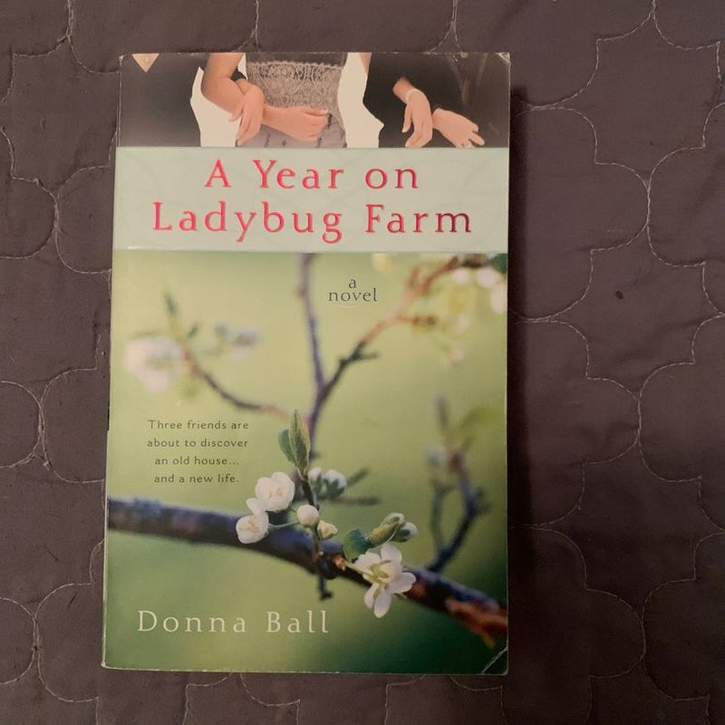 A Year on Ladybug Farm