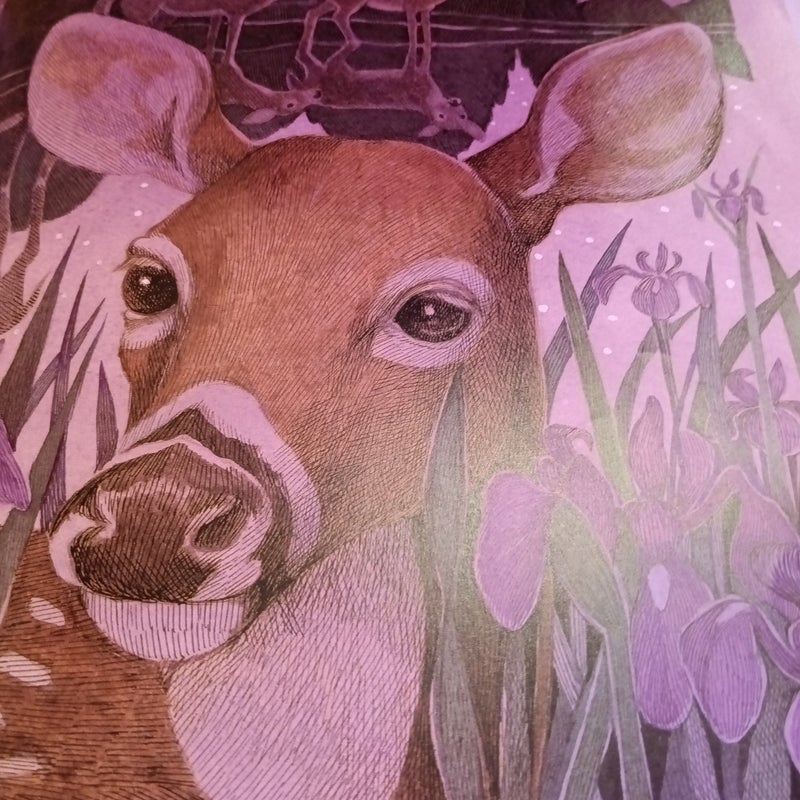 The Midnight Farm