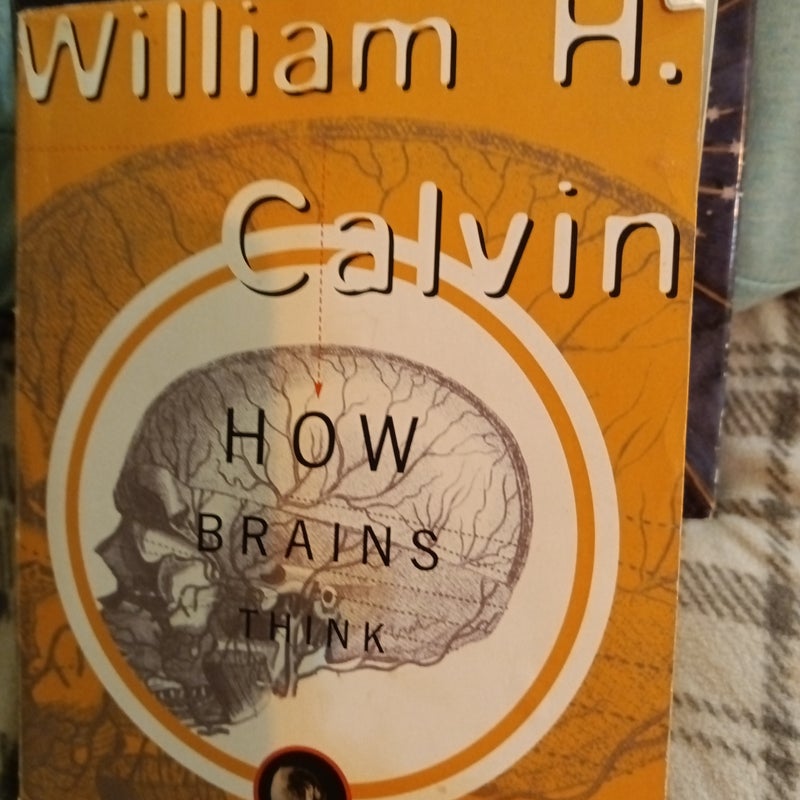 How Brains Think