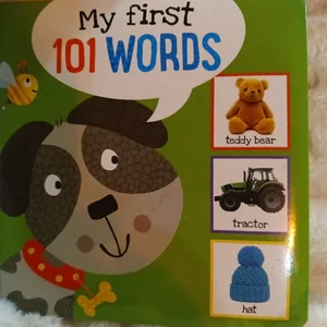 I'm Learning My First 101 Words! Board Book