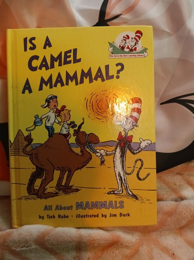 Is a Camel a Mammal?