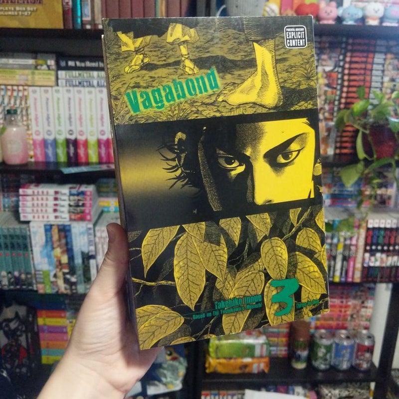 Vagabond (VIZBIG Edition), Vol. 3