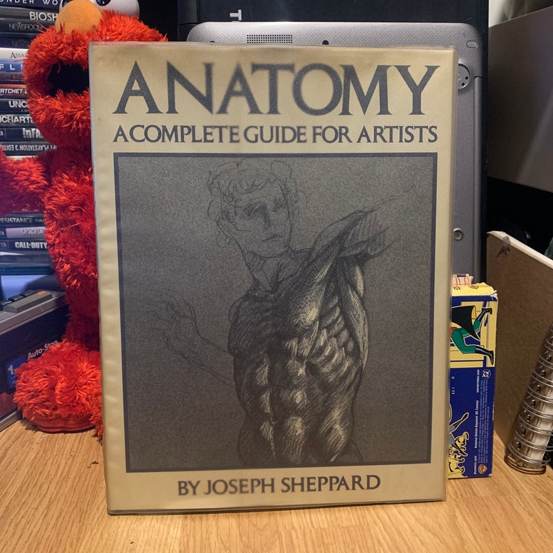 Anatomy