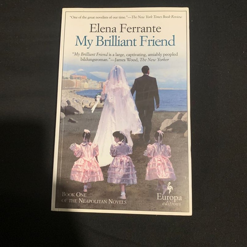 My Brilliant Friend