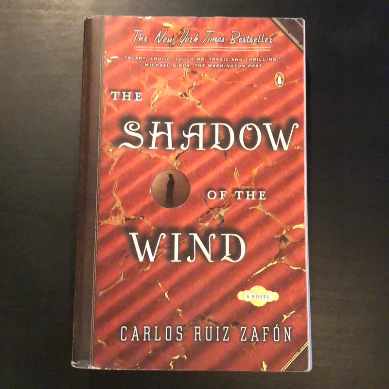 The Shadow of the Wind