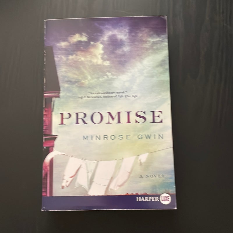 Promise (large print)
