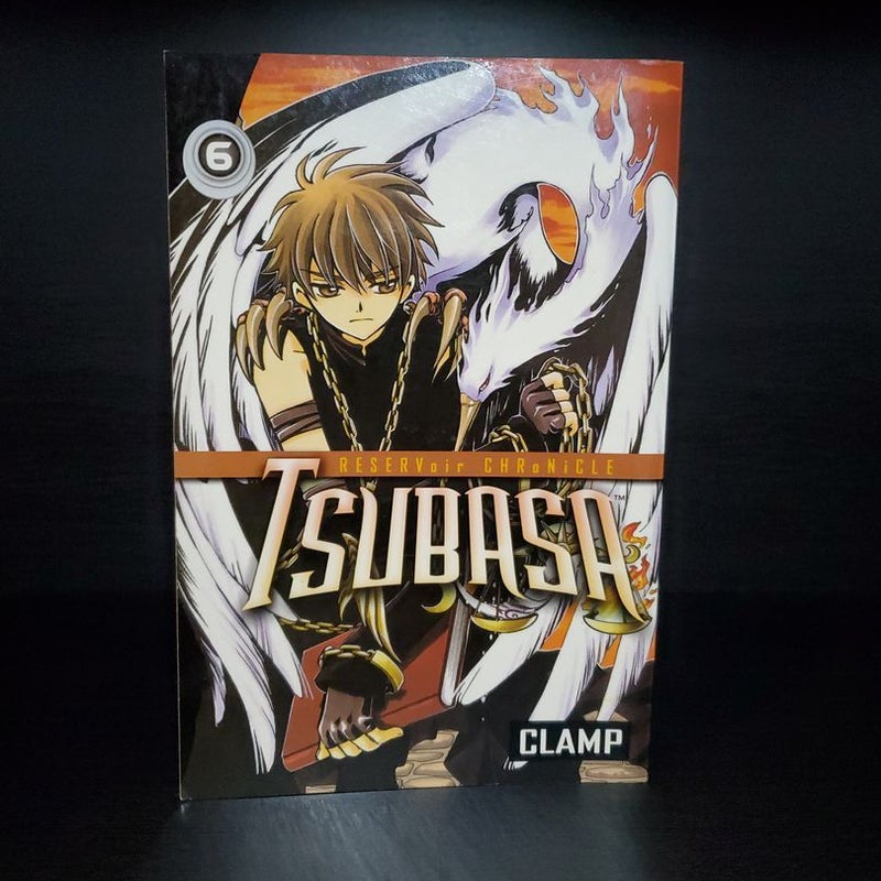 Tsubasa Reservoir Chronicle Volume 6