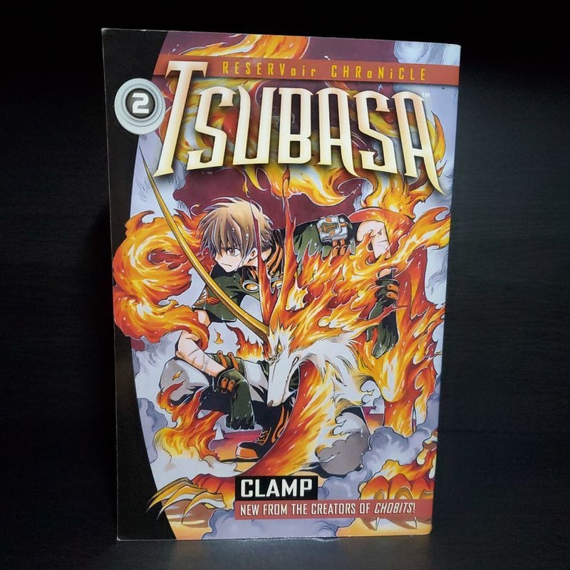 Tsubasa Reservoir Chronicle Volume 2