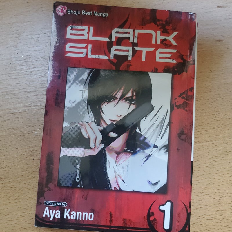 Blank Slate, Vol. 1