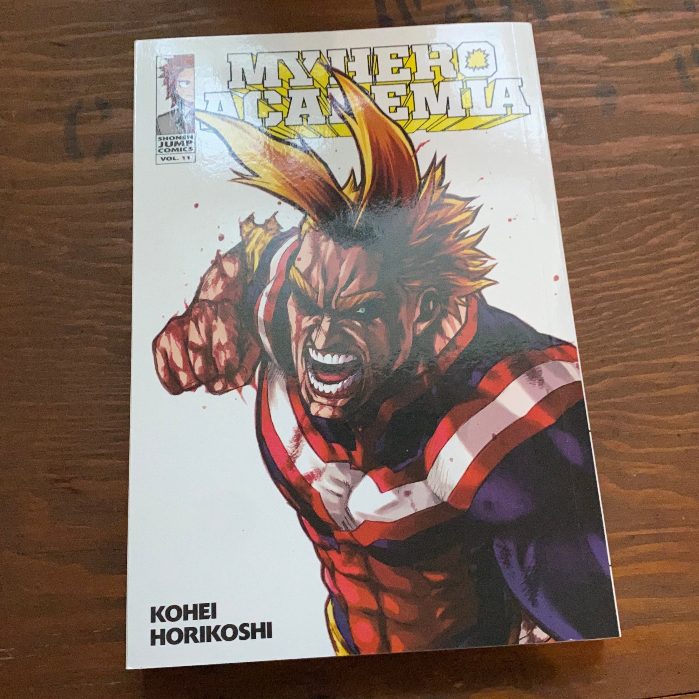 My Hero Academia, Vol. 11