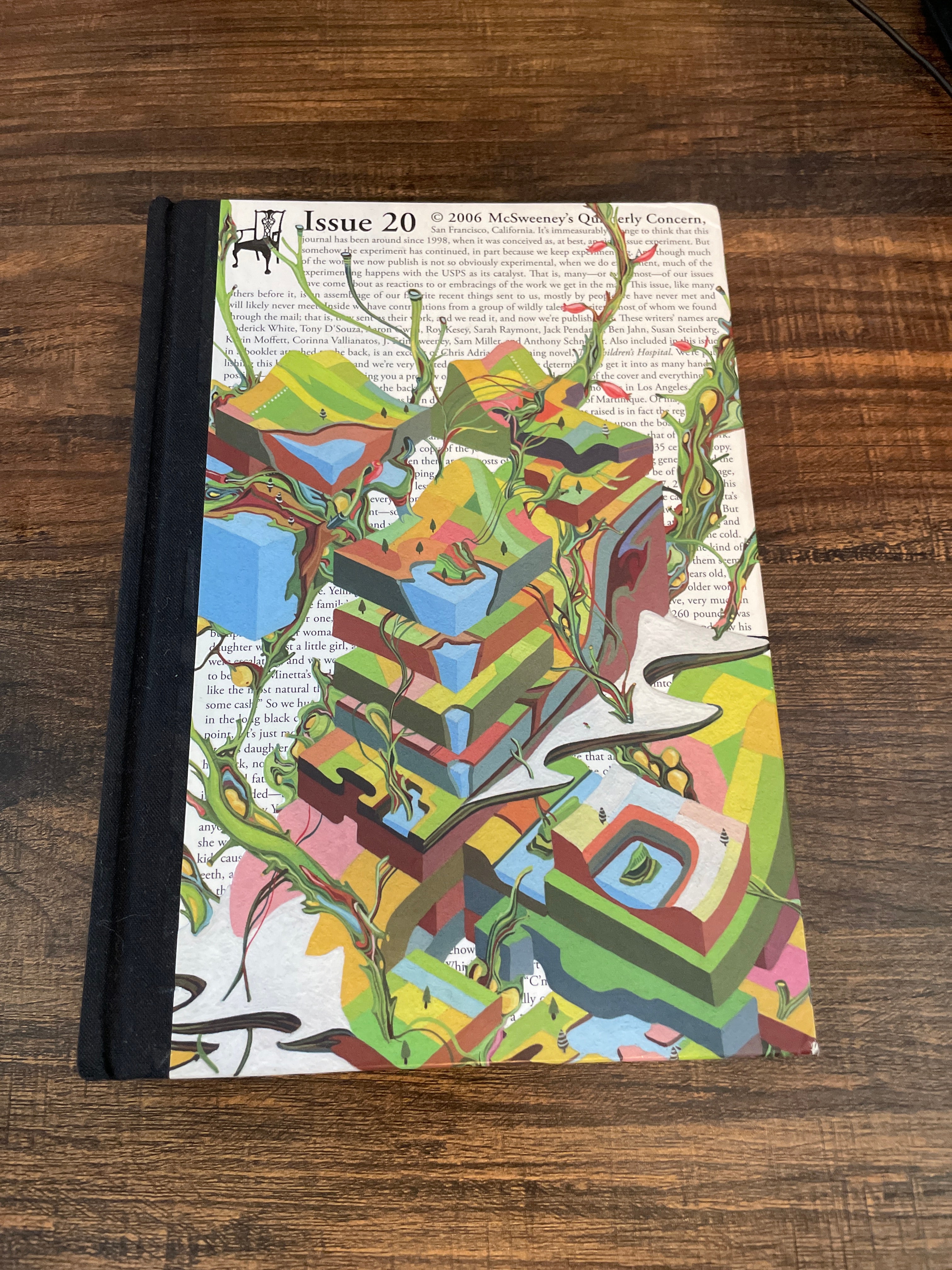 McSweeney's, Issue 20
