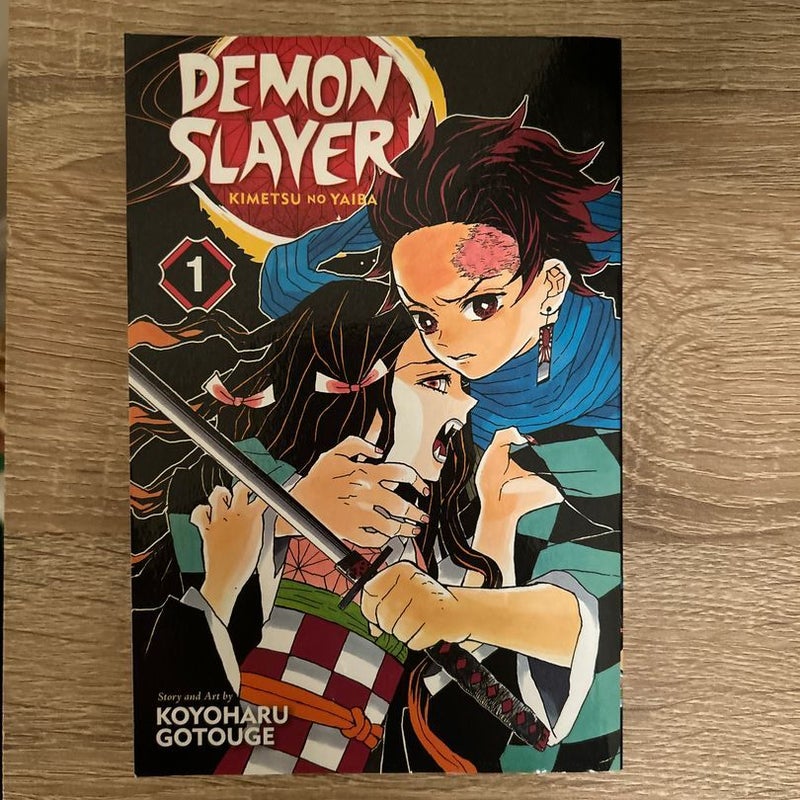 Demon Slayer: Kimetsu No Yaiba, Vol. 1