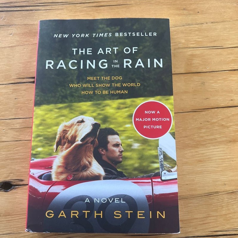 The Art of Racing in the Rain