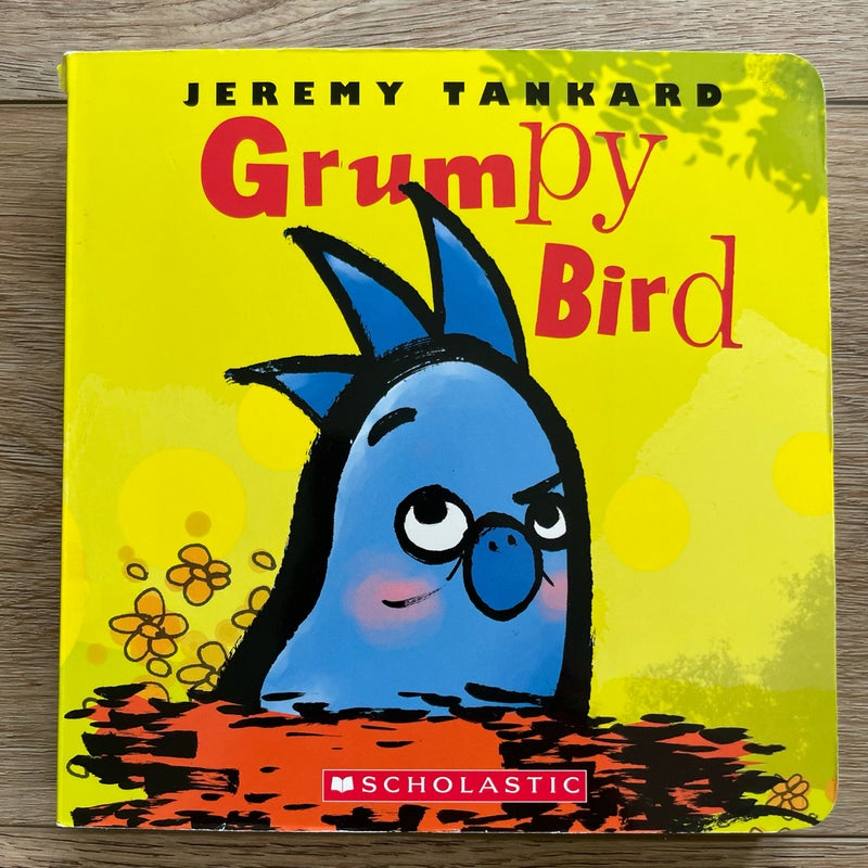 Grumpy Bird