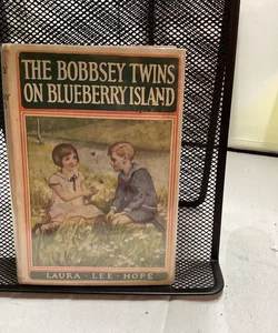 The Bobbsey Twins On Blueberry Island