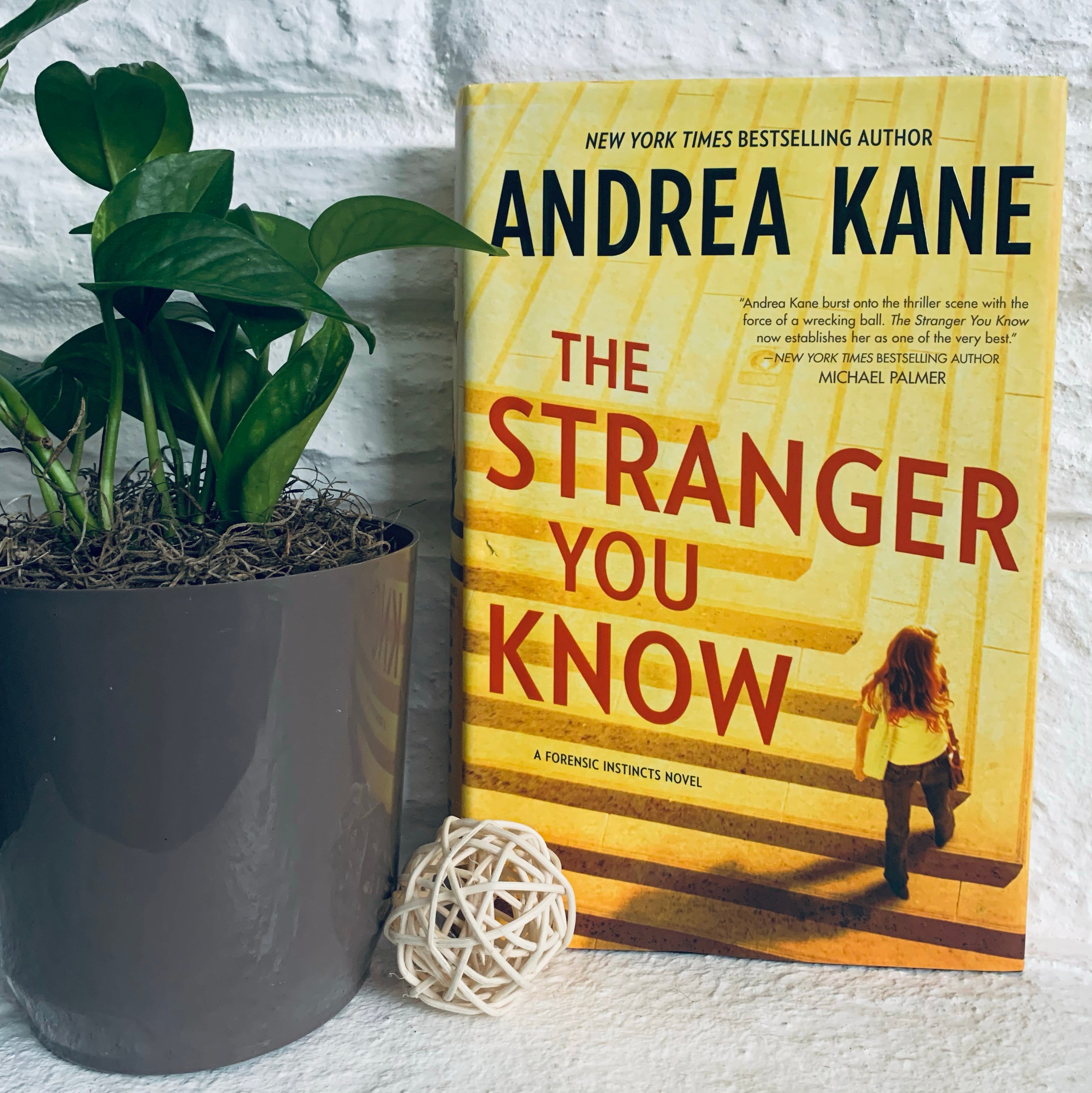 The Stranger You Know