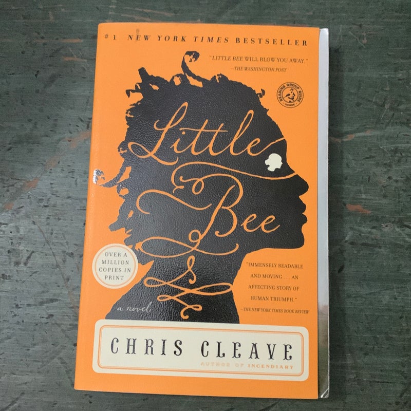 Little Bee