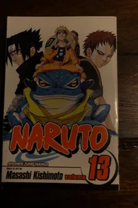 Naruto, Vol. 13
