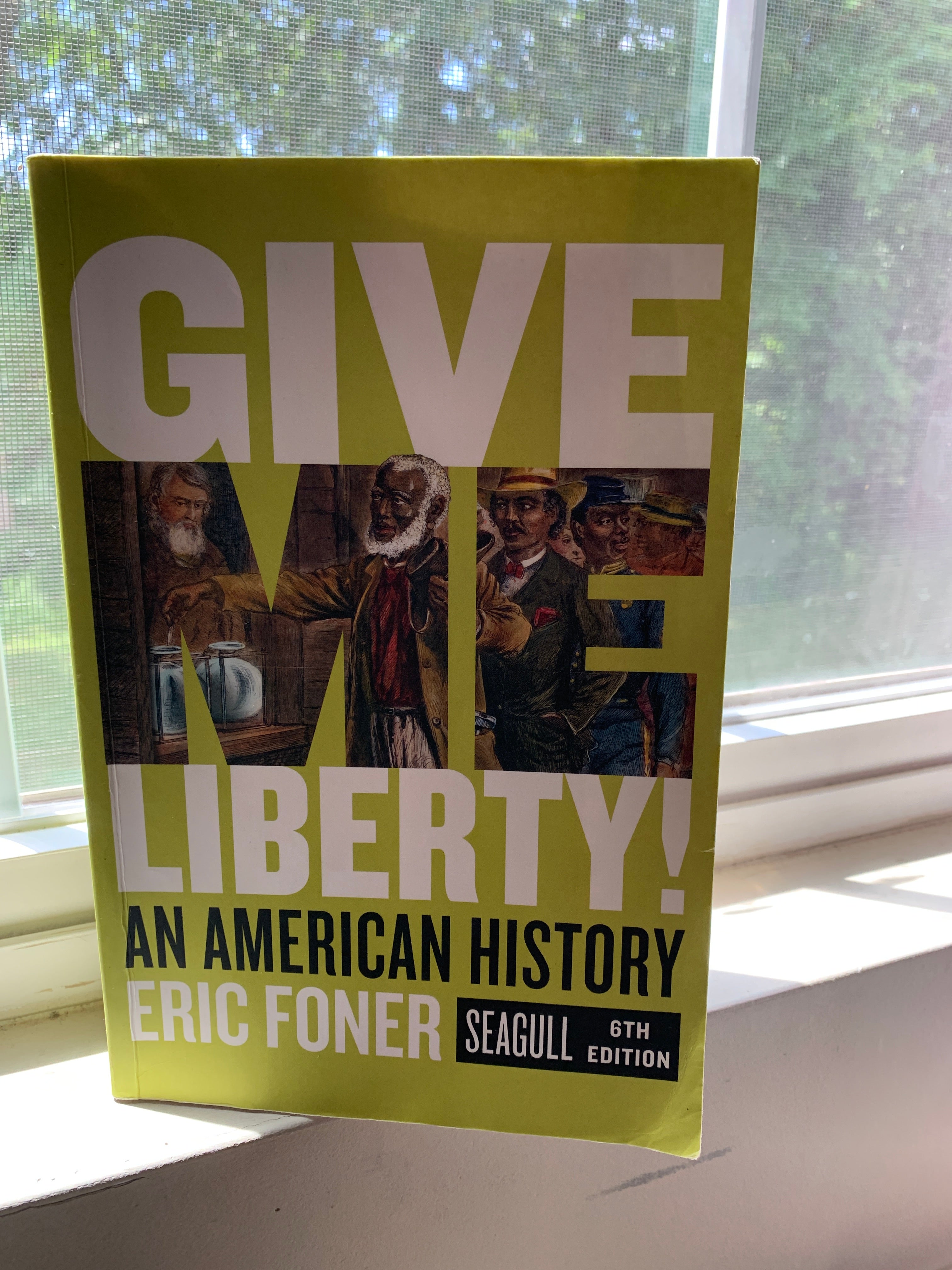 Give Me Liberty! Seagull, 6th Edition (One-Volume)