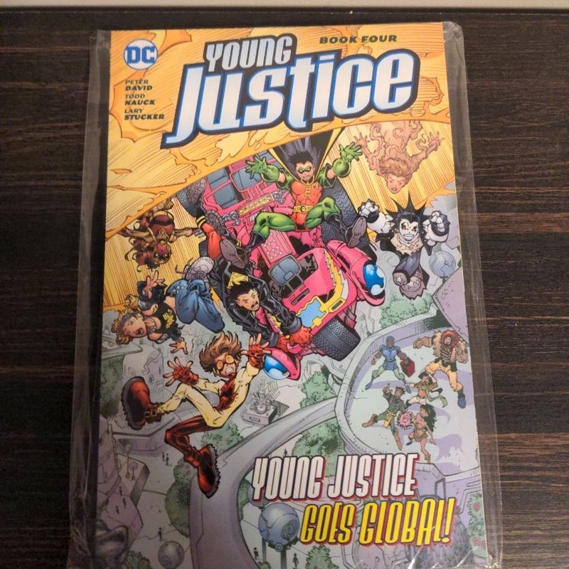 Young Justice Book Four