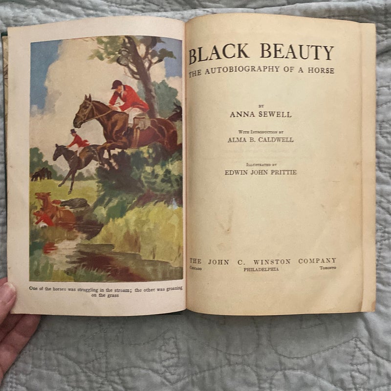 Black Beauty (1927)
