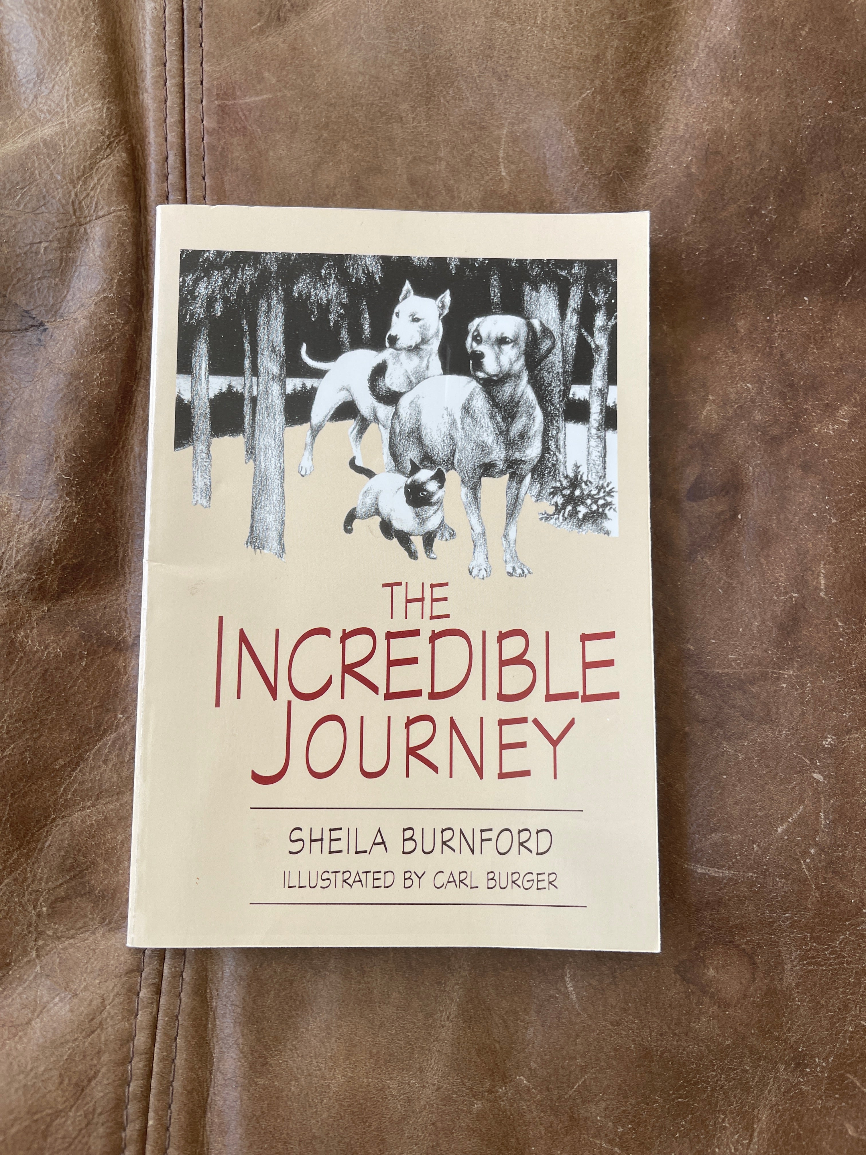 The Incredible Journey