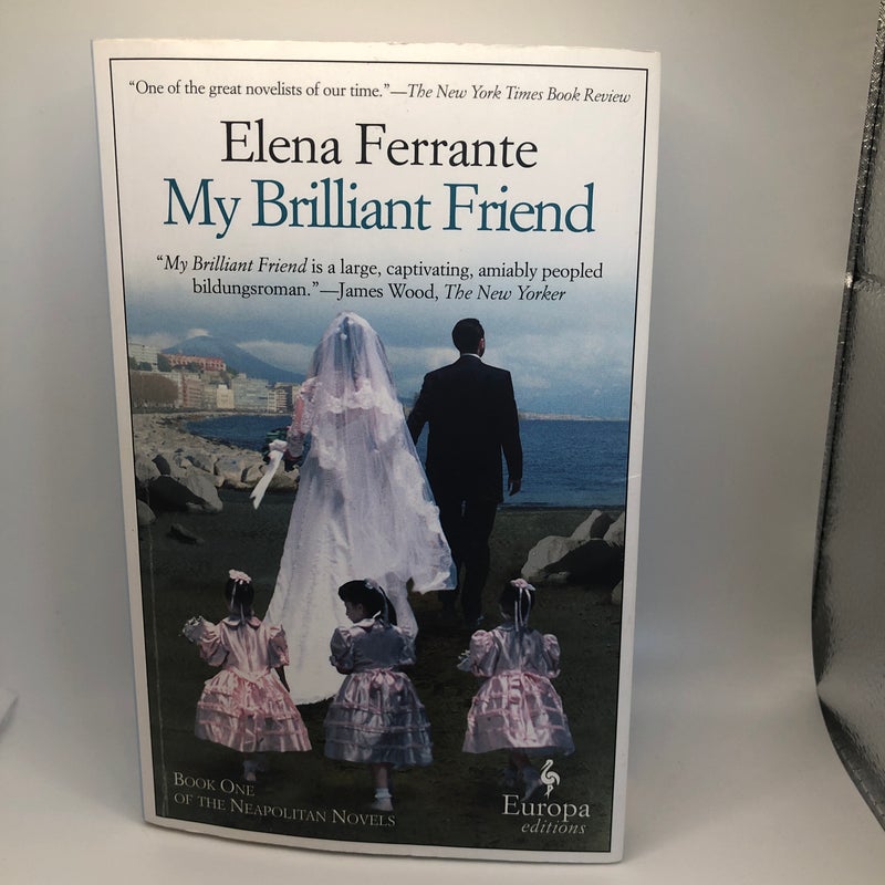 My Brilliant Friend - Neopolitan Series (1-4) - Book 4  is library copy.
