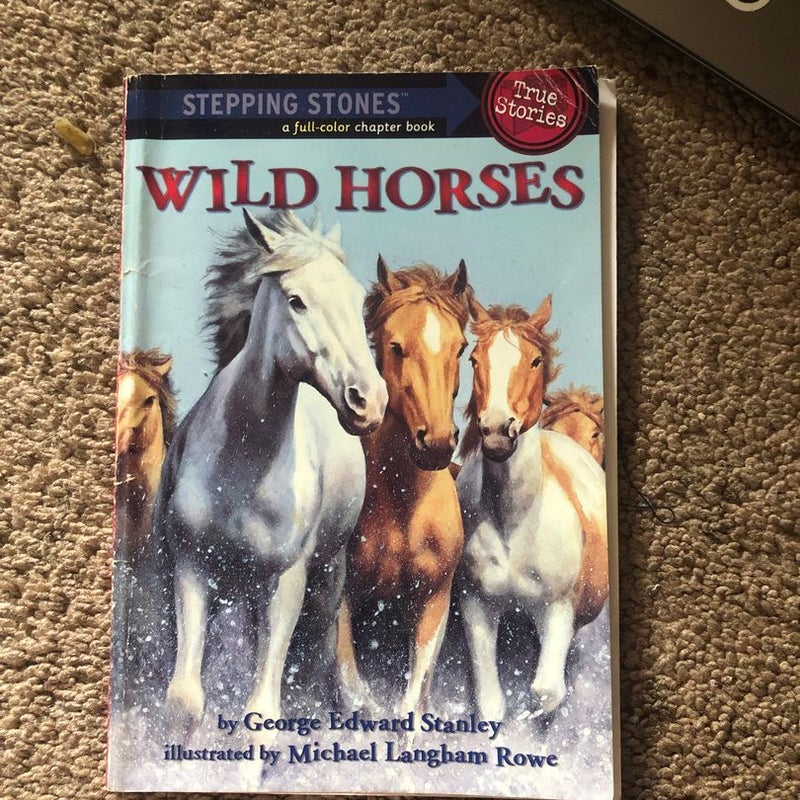 Wild Horses