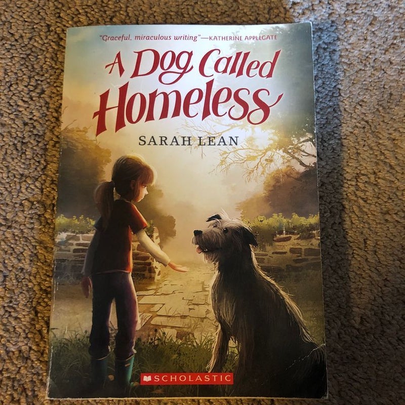 A Dog Called Homeless by Sarah Lean, Paperback | Pangobooks