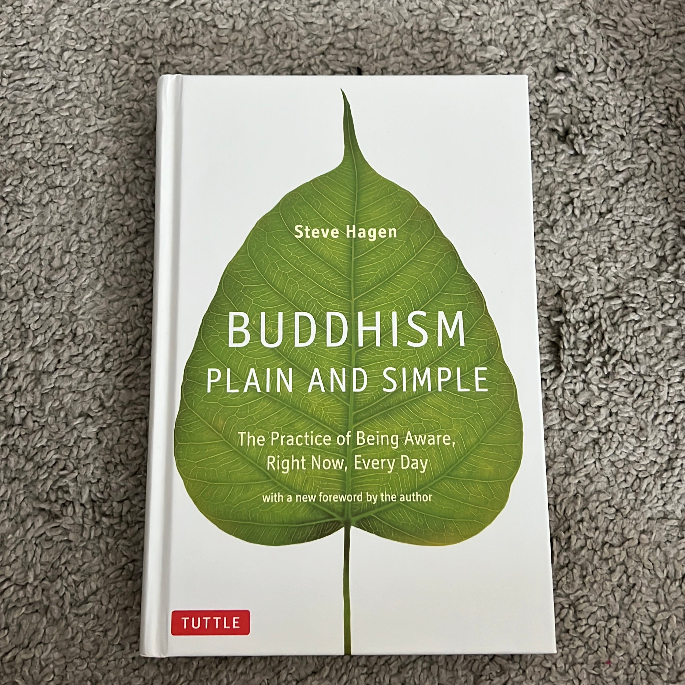 Buddhism Plain and Simple