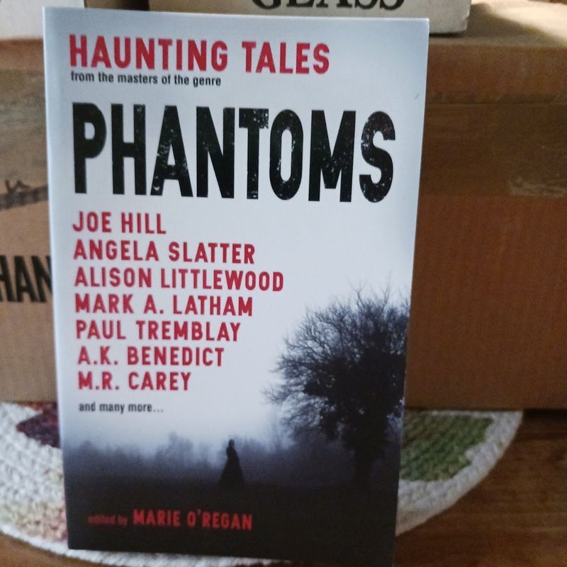 Phantoms