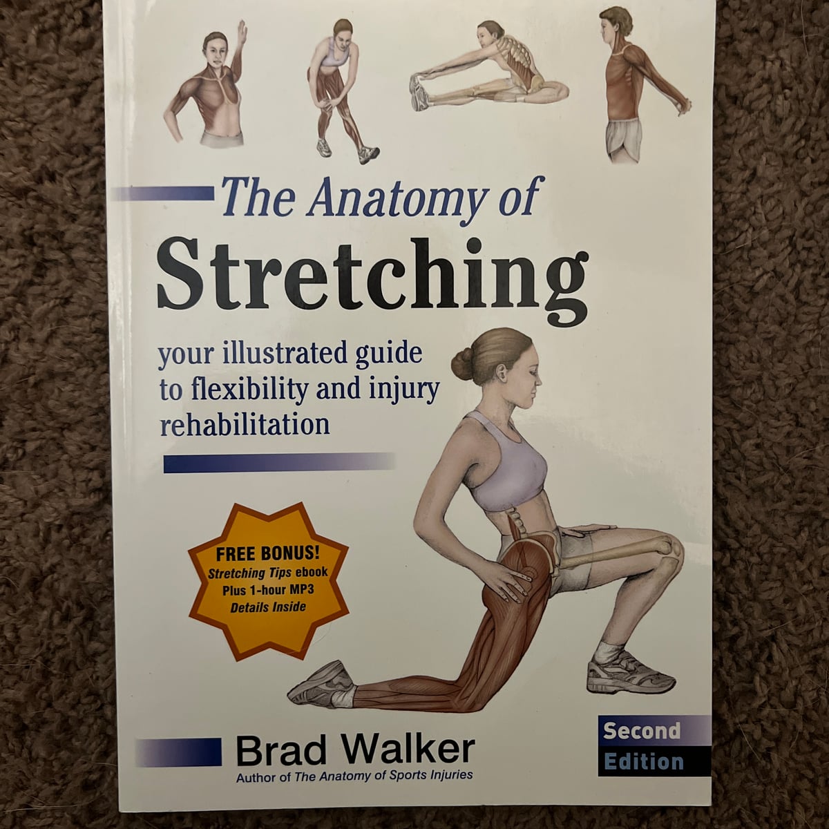 The Anatomy of Stretching, Second Edition by Brad Walker