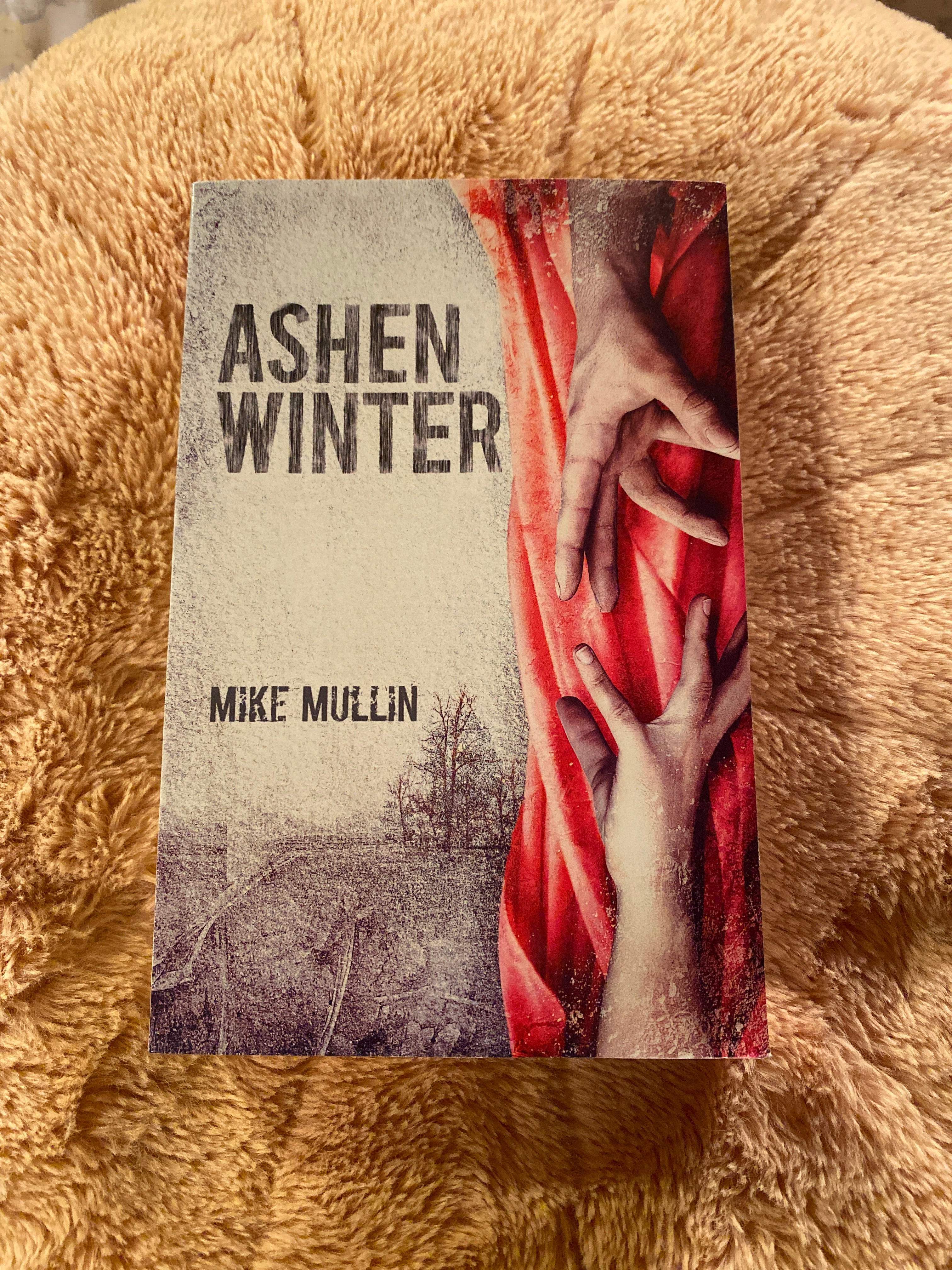 Ashen Winter