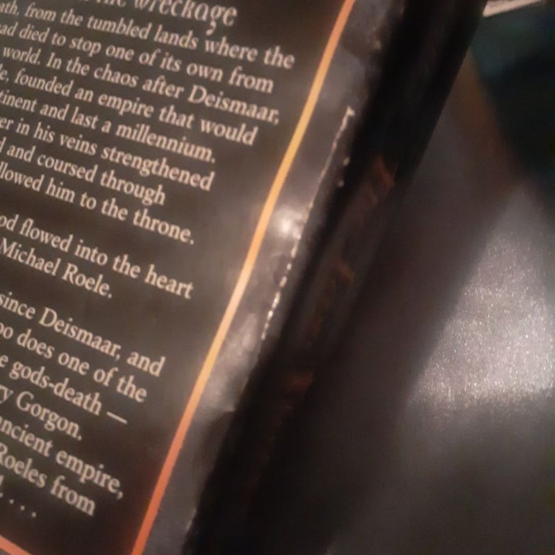 Birthright TSR Fantasy books: The Iron Throne by Simon Hawke