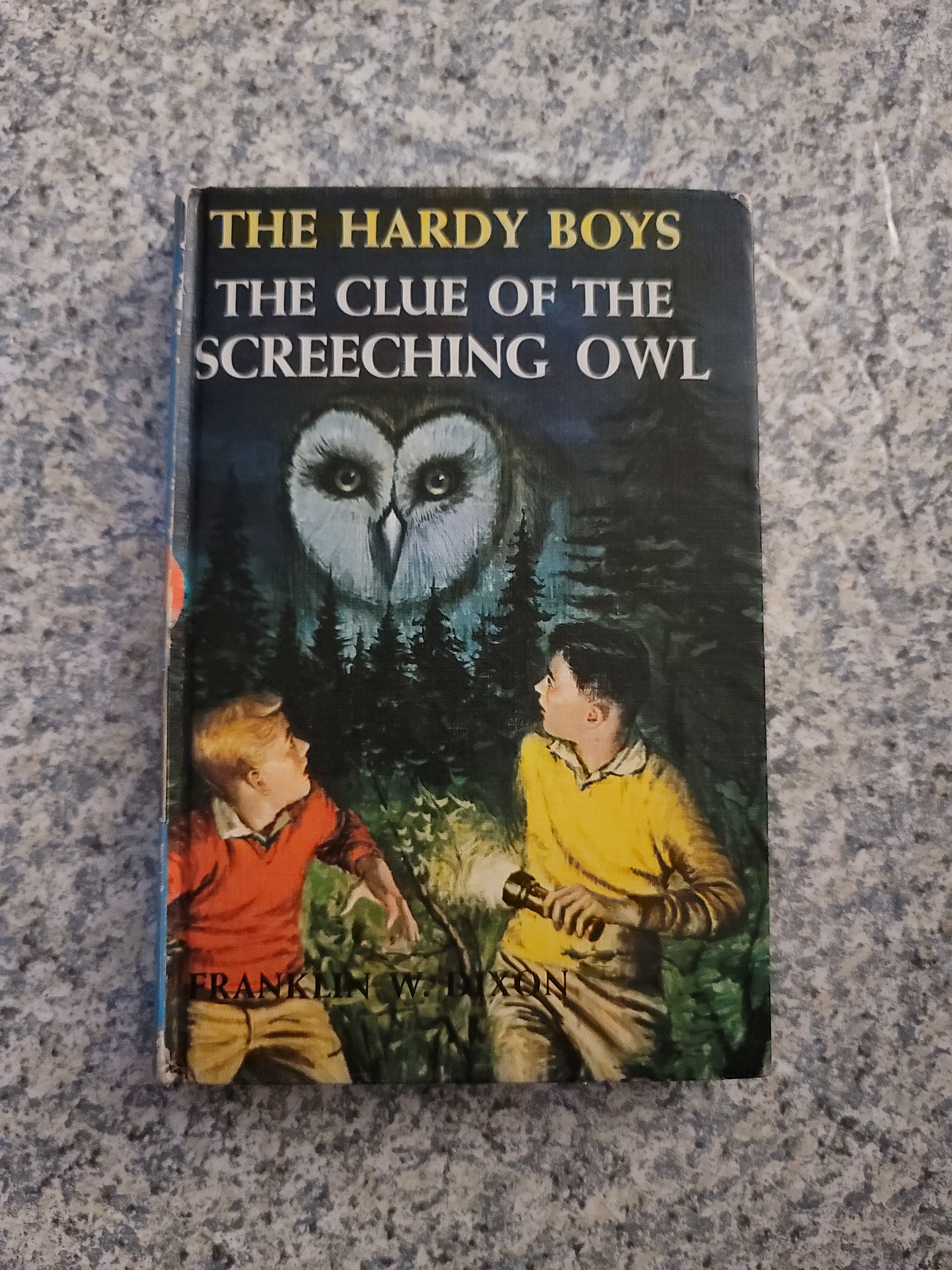 Hardy Boys 41: the Clue of the Screeching Owl