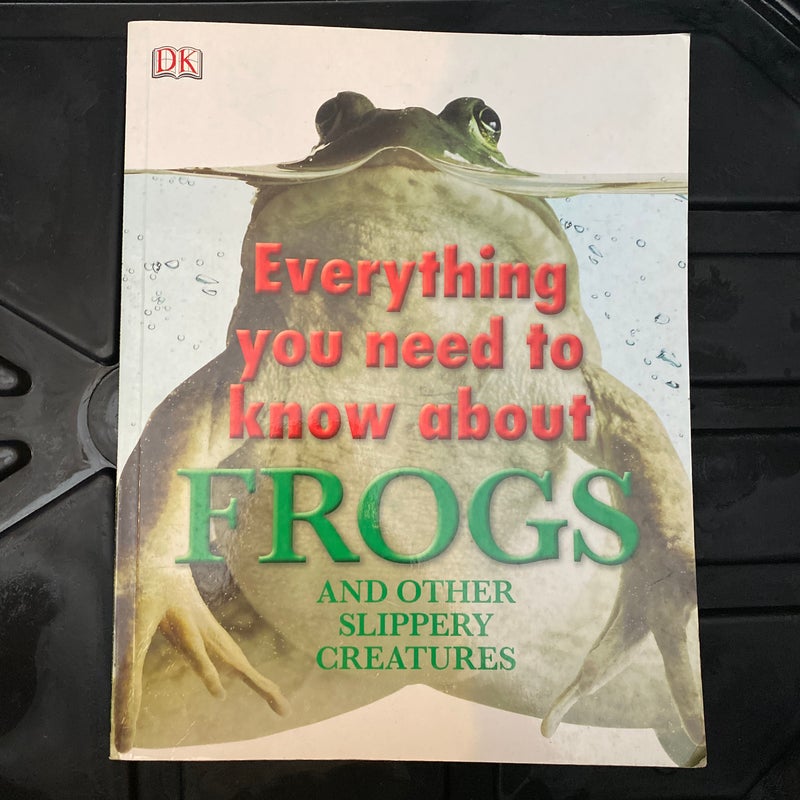 Everything you Need to know About Frogs