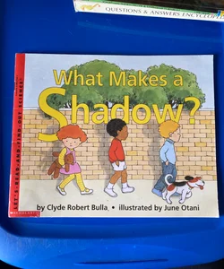 What Makes a Shadow? 