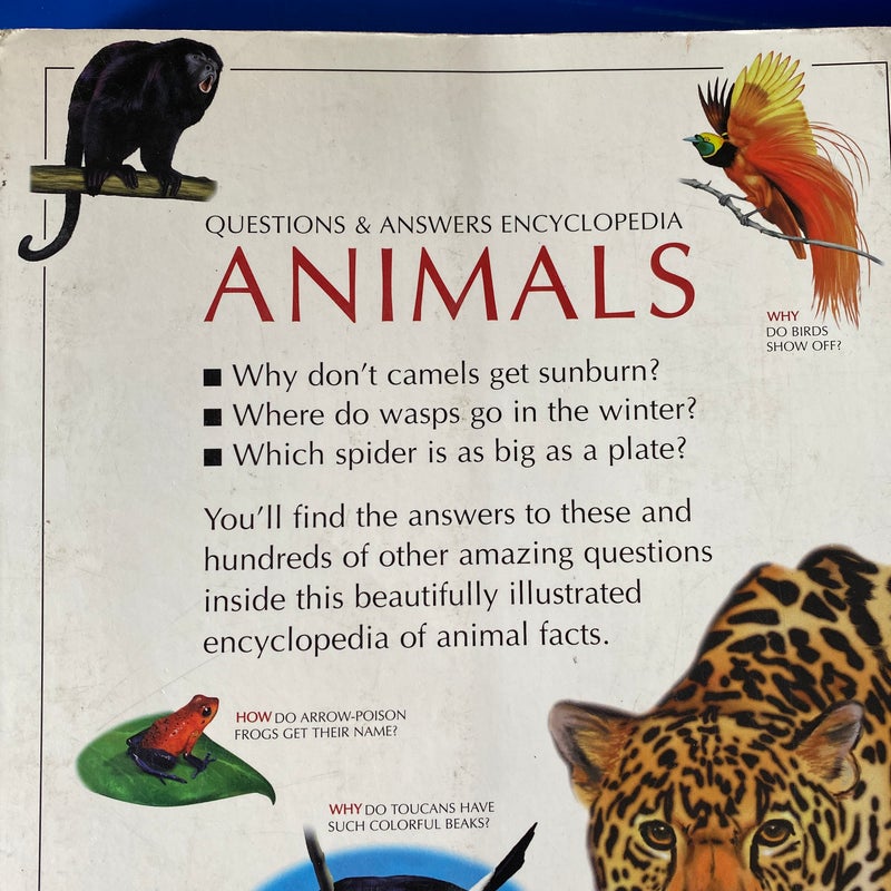 Questions and Answers Encyclopedia Animals